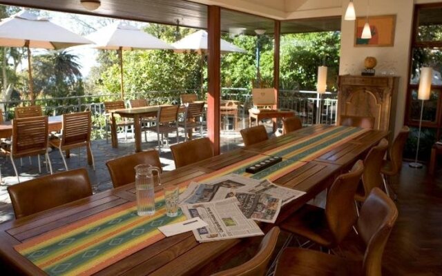 Lézard Bleu Guest House