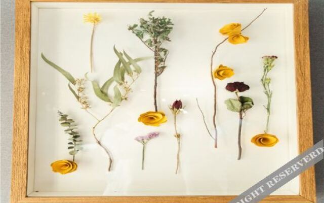 Jinyi Hotel (Zhengzhou High-tech Vanke Plaza & Zhengzhou University Branch)