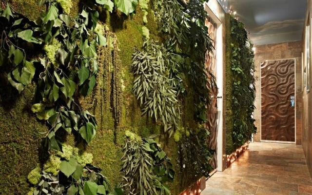 Le Rêve De Naim - Roma