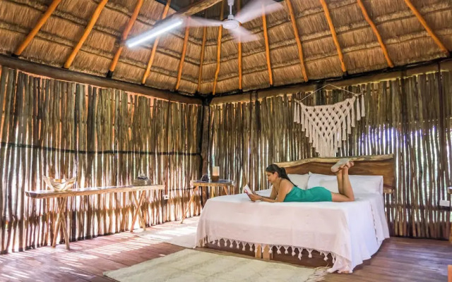 Jungla y Estrellas K AAX EK