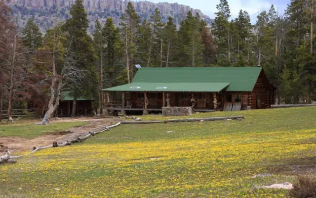 Allens Diamond 4 Ranch