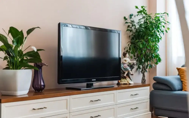 The Vibrant Hub in Shkod r