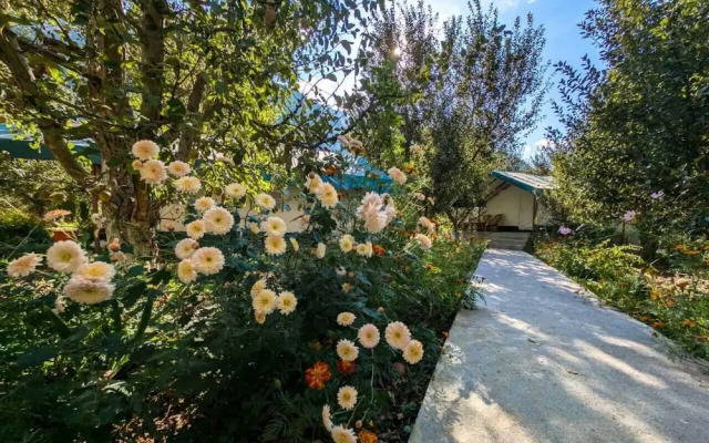 Apple Orchard Farm and Camping