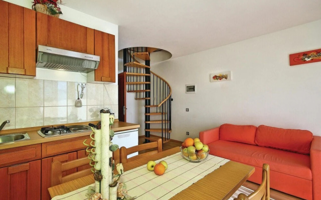 Amazing Home in Tar-vabriga With Wifi and 2 Bedrooms