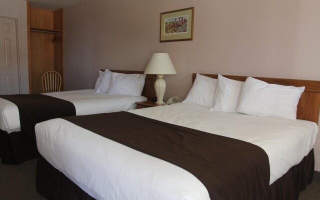 Saga Resort