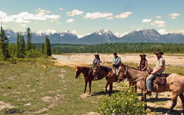 Bear Corner Adventures Bed & Bale