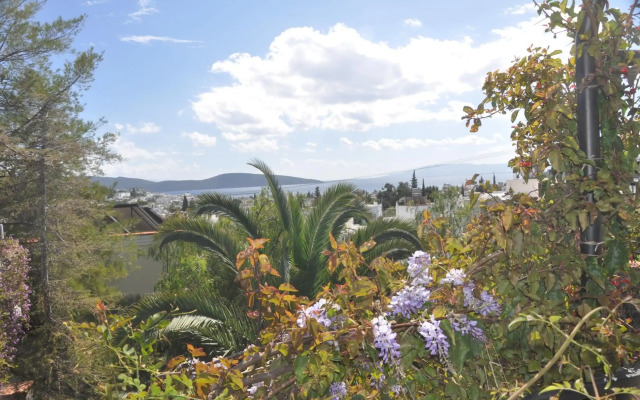 El Vino Hotel Suites - Special Class