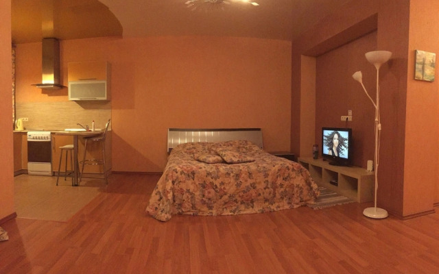 Apartment on Meditsinskaya 1a