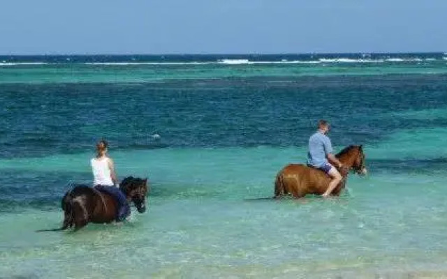 Studio 03 vue mer Orient Bay