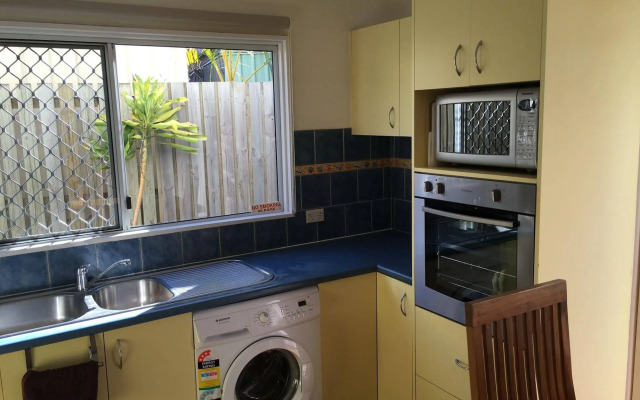 Coconut Palms on the Bay