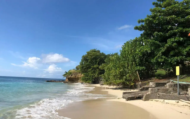 T2 les pieds dans l'eau, vue mer caraibes