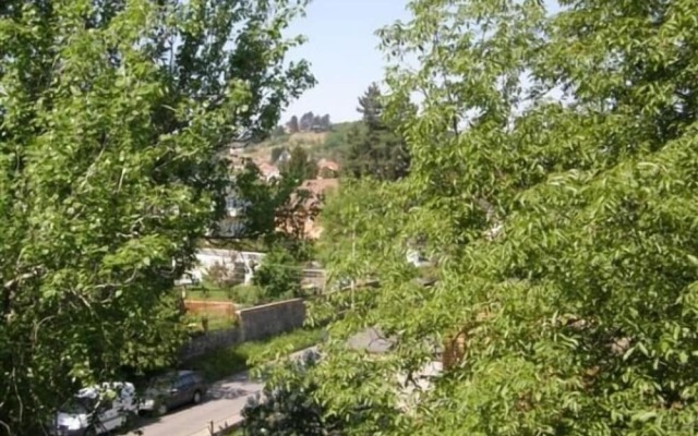 Villa Bellevue Dresden