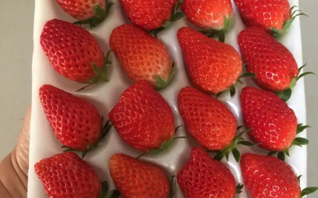 Wawee Strawberry House