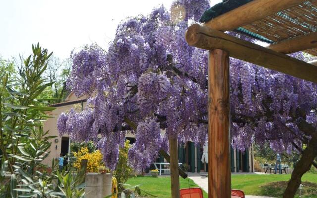 Terre Bianche agriturismo