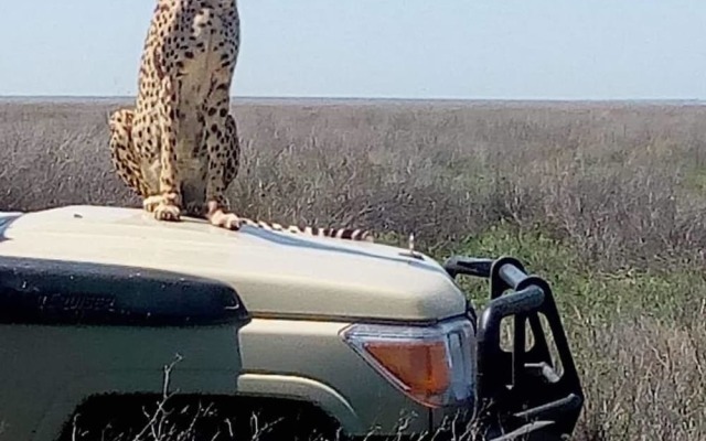 Nyikani Camp- Central Serengeti
