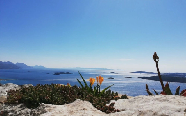 Vida With Garden - A2 - Limun