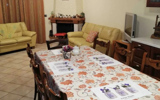 Casa Vacanze Etna Cocus