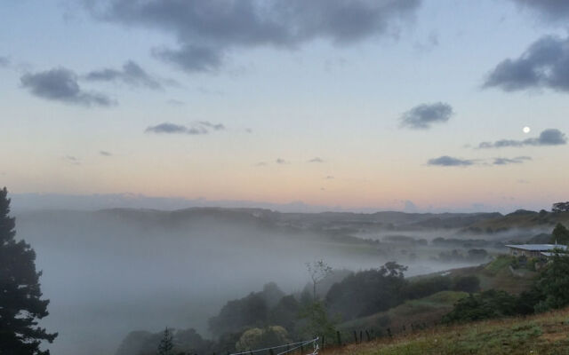 Pukeatua Farmstay