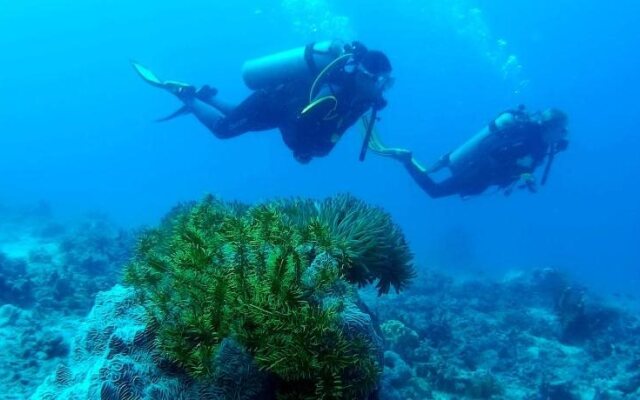 Paseo Del Mar Dive Resort