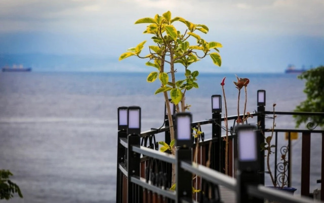 Pohang Bagliore Pension