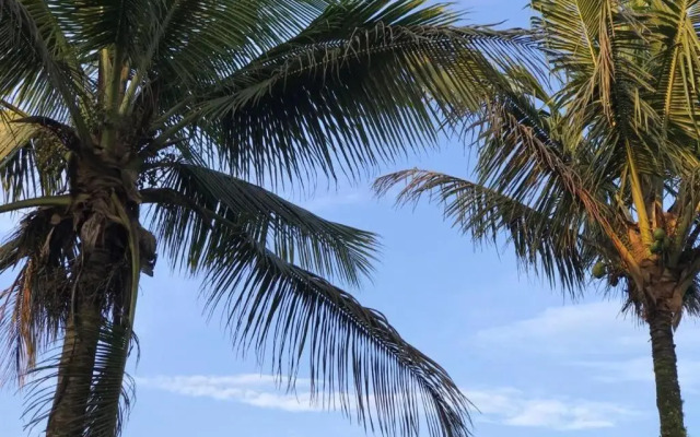 Guest house host Tabatinga