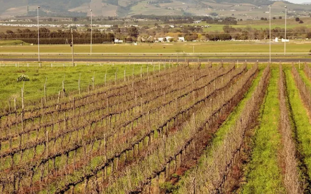 Lovane Boutique Wine Estate & Guesthouse