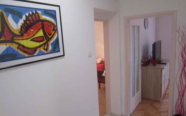 Apartments in Novi Vinodolski 39135