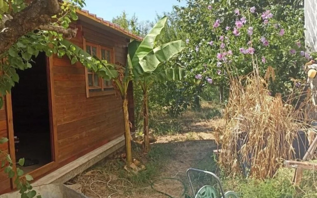 Ripe's Forest Garden Guest House