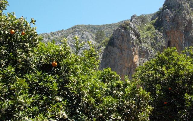 Olympos Orange