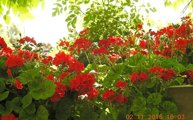 Barklysuites Apartments