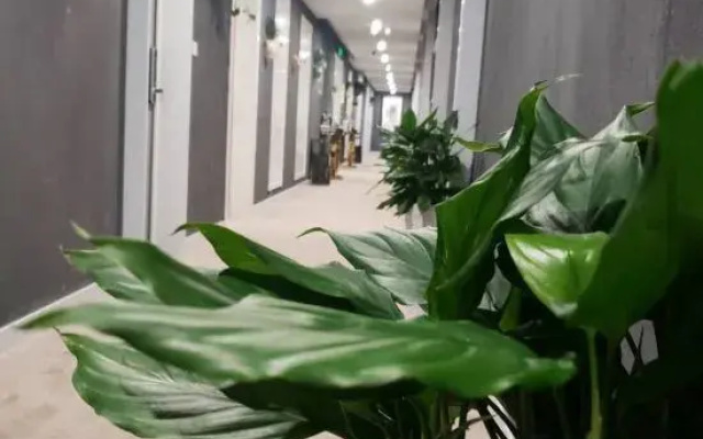 Deep Blue City Hostel