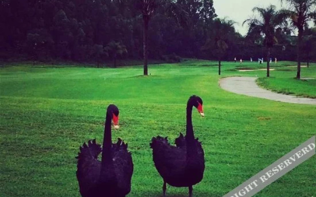Birds Resorts Hotel & Spa