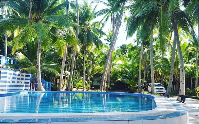 The Pelicans Castaway