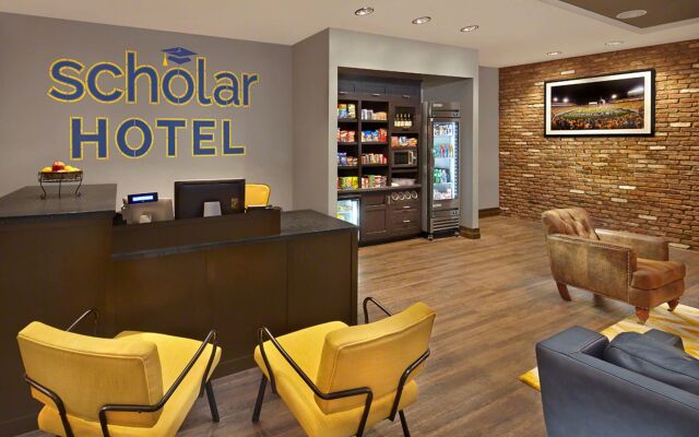 Scholar Morgantown, Tapestry Collection by Hilton