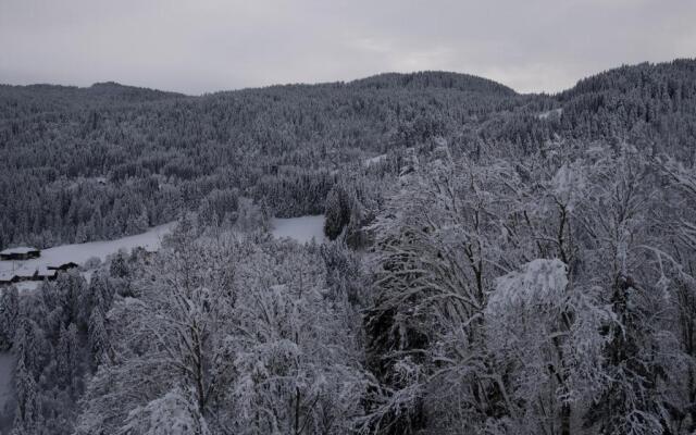 Chalet Ferme des Amis - 1066