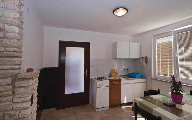 Nice Home in Liznjan With Wifi and 1 Bedrooms