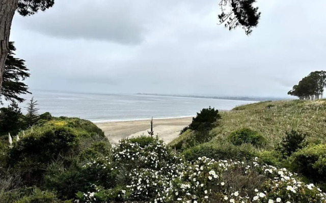 Seascape Beach Resort