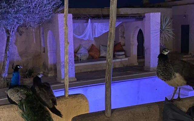 Marrakesh 6-bed Housing Authentic Berber