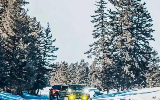 ChangBai Mountain Pine&Birch Villa
