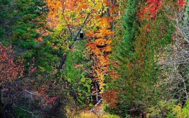 A Breath of Heaven B&B