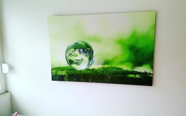 Odyssey apartment