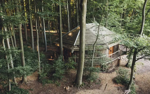 Robins Nest Baumhaushotel