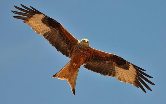 appartamento turistico il colle del nibbio