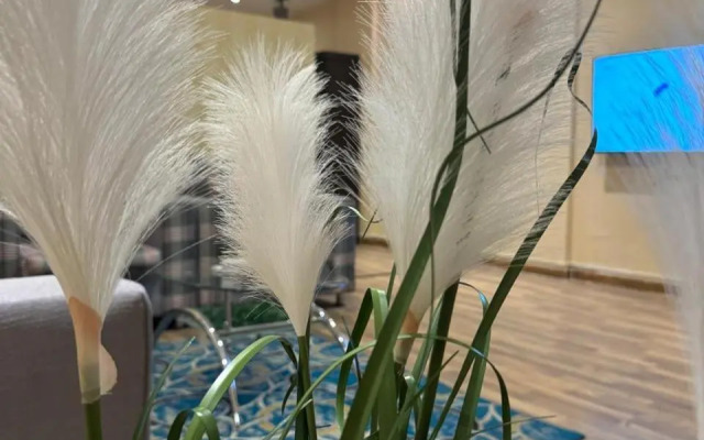 كان للوحدات السكنيه المفروشه