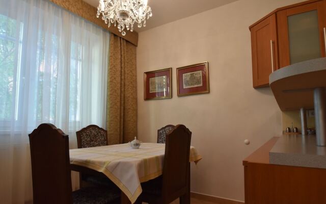 Modern Apartment in Podebrady Near River