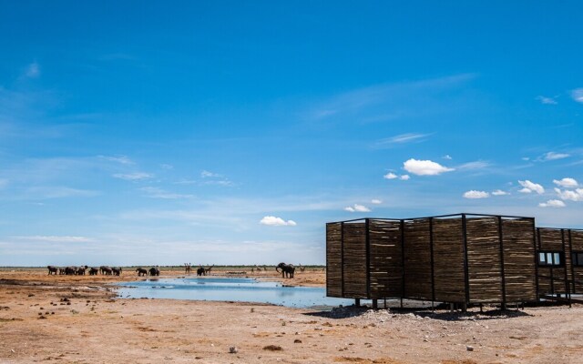 Etosha King Nehale