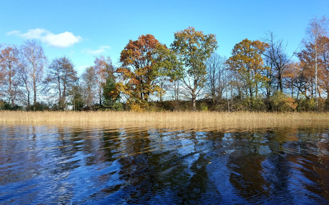 Струсто (Витебская область