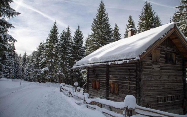 Haus Filzmoos in Austrian Alps