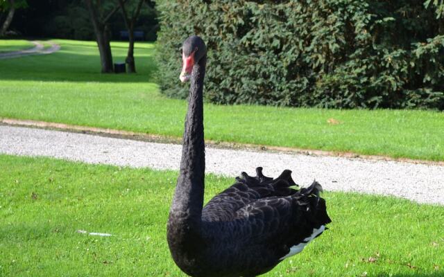 B&B Landgoed Matanze