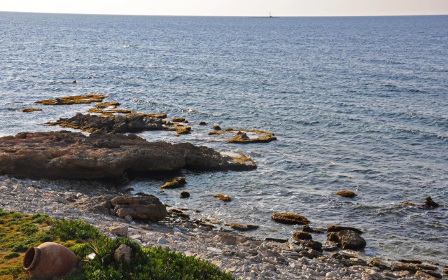 L'Approdo di Angelino